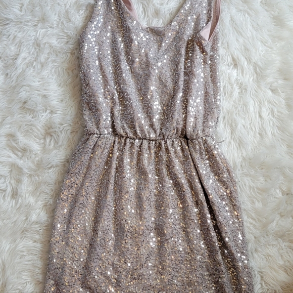 Express Champagne Sequin Dress - Picture 2 of 12